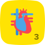 Level 3 in Anatomy & Physiology