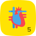 Level 5 in Anatomy & Physiology