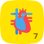 Level 7 in Anatomy & Physiology