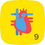 Level 9 in Anatomy & Physiology